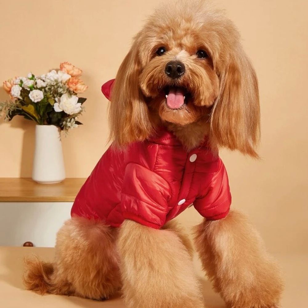 1pc Hooded Plain Red Pet Coat / 100% polyester